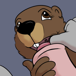 Study Partners misc.: Ragdoll's Power Tower