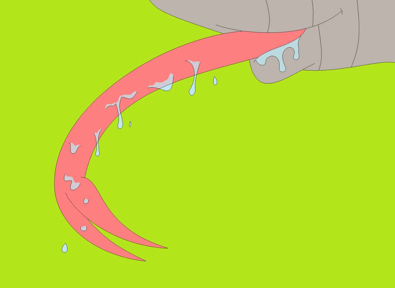 kaa & gadget page 12 full