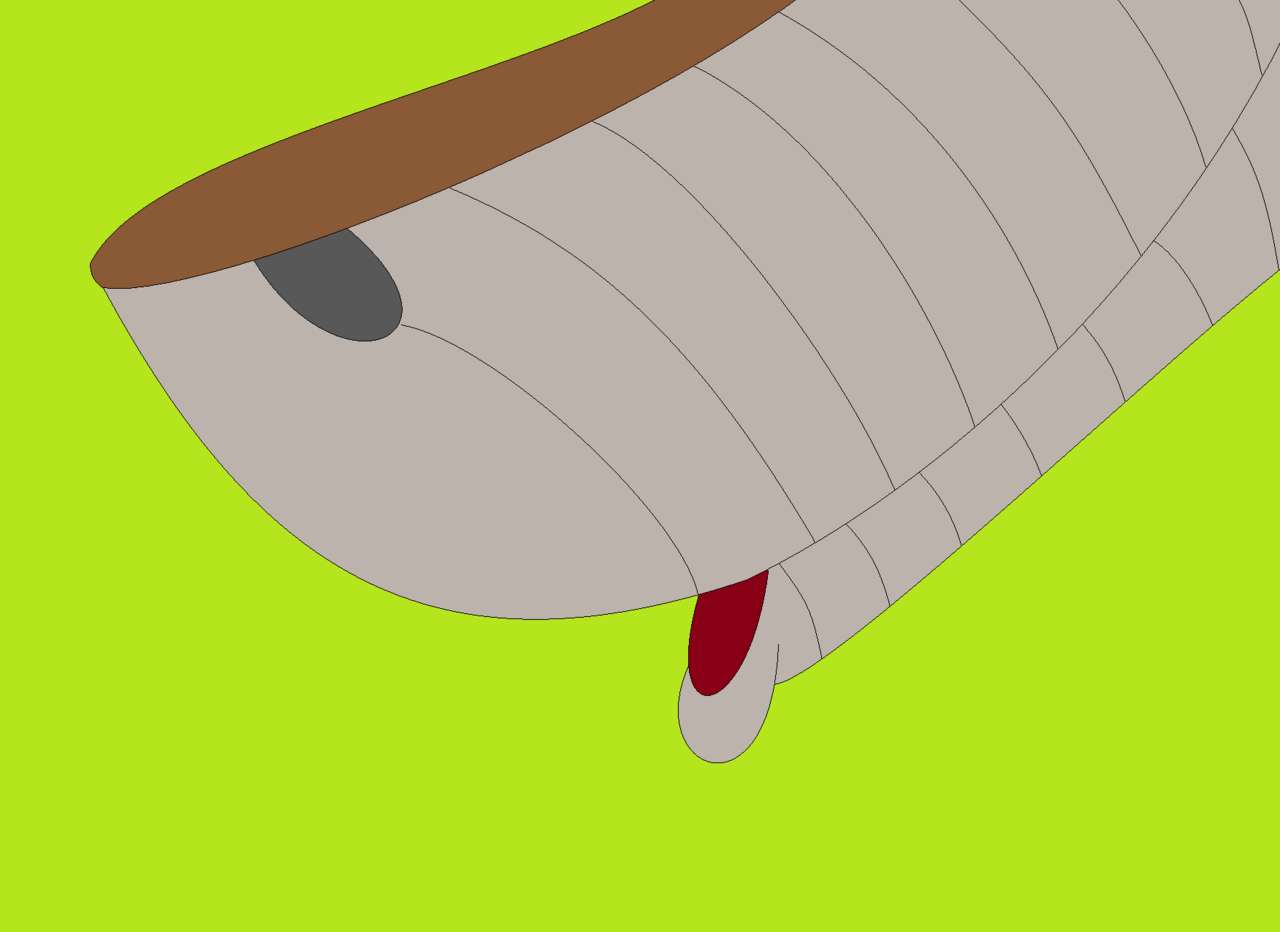 kaa & gadget page 7 full