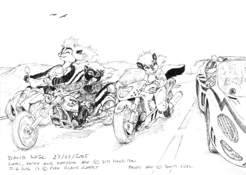 ARTIST david siegl page 11 full