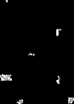 NSFW Private Twitter Leak