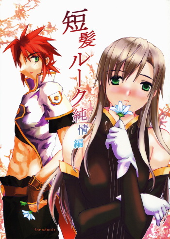 (C72) [Gensou Kuukan (Mizuhara Mei)] Tanpatsu Luke Junjou Hen (Tales of the Abyss) [Spanish] [Biblioteca Hentai] cover