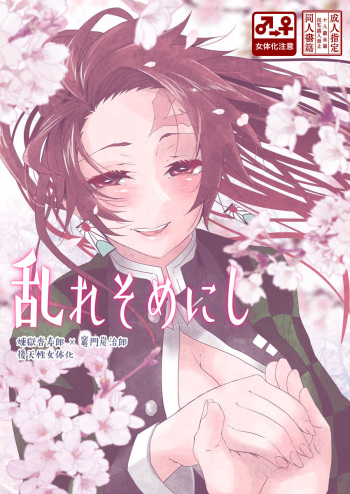 (Nichirin Kitan 6) [Yakionigiri (Taiga Tora)] Midare Somenishi (Kimetsu no Yaiba) [Sample] cover