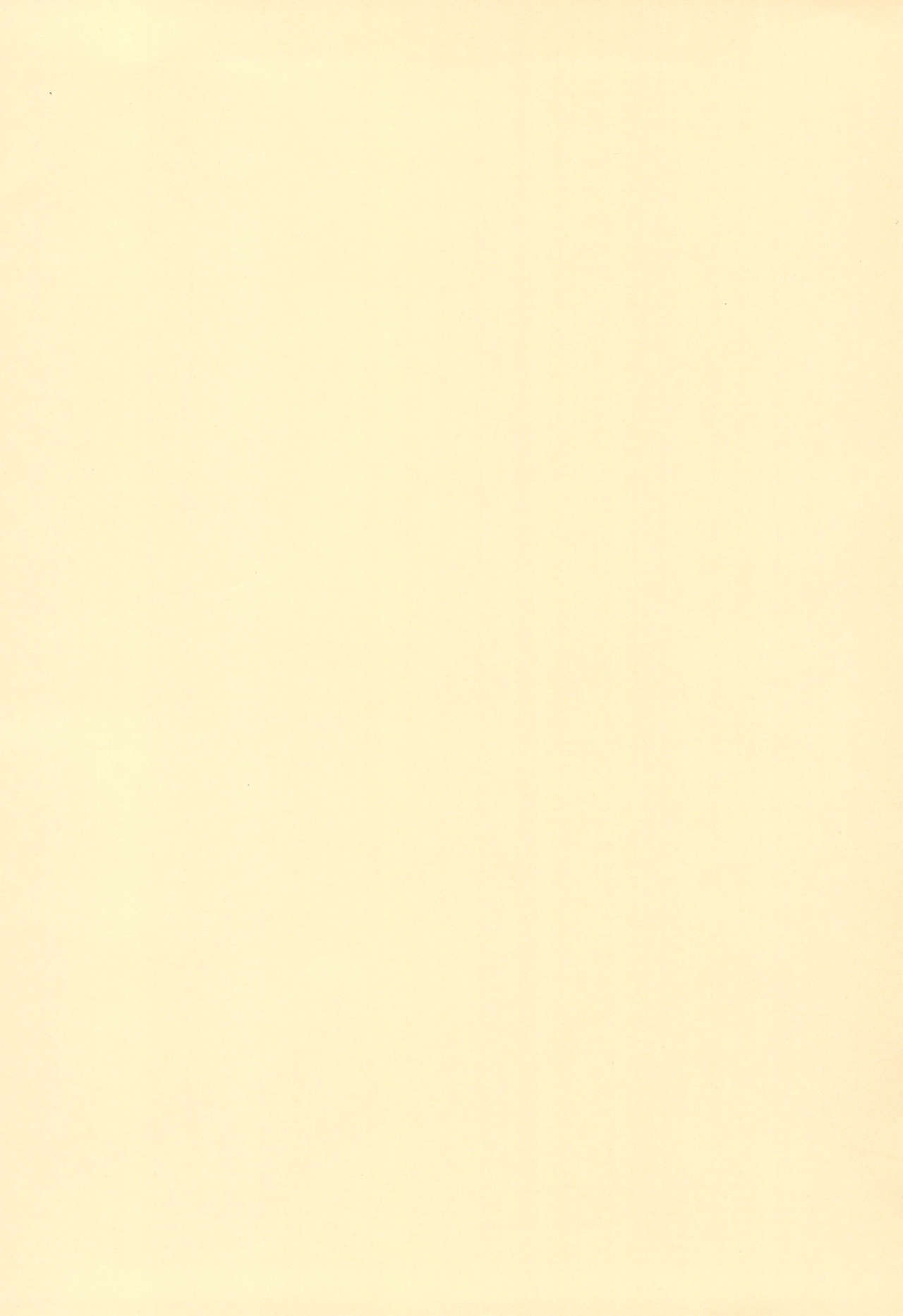 MRR Yellow Voice page 2 full
