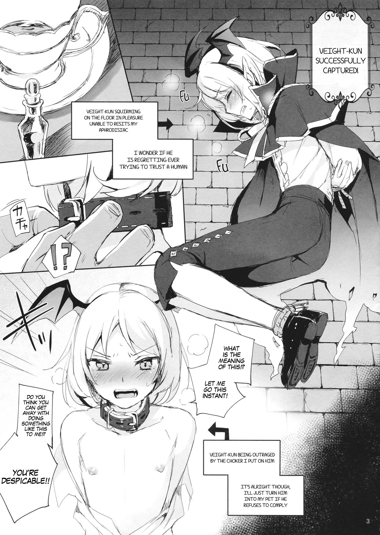 Veight-kyun o Pet ni Shite Konekurimawasu | Turning Into a Pet and Screwing Around with Veight-kun page 3 full