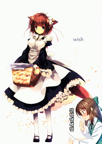 (Mimiket 30) [HyoujouOukoku (Minaduki Haruka)] wish [Korean] [완벽한 사람] cover