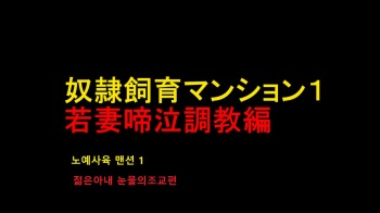 [Naya] Dorei Shiiku Mansion 1 Wakazuma Teikyuu Choukyou Hen | 노예사육 맨션 1 젊은아내 눈물의조교편 [Korean] cover