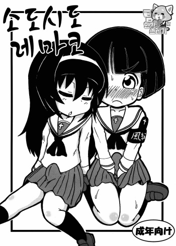 (Puniket 27) [Tokyo Tsunamushi Land (Tsunamushi)] SoDoTiDoRe Mako | 소도시도레마코 (Girls und Panzer) [Korean] [TeamHT] cover