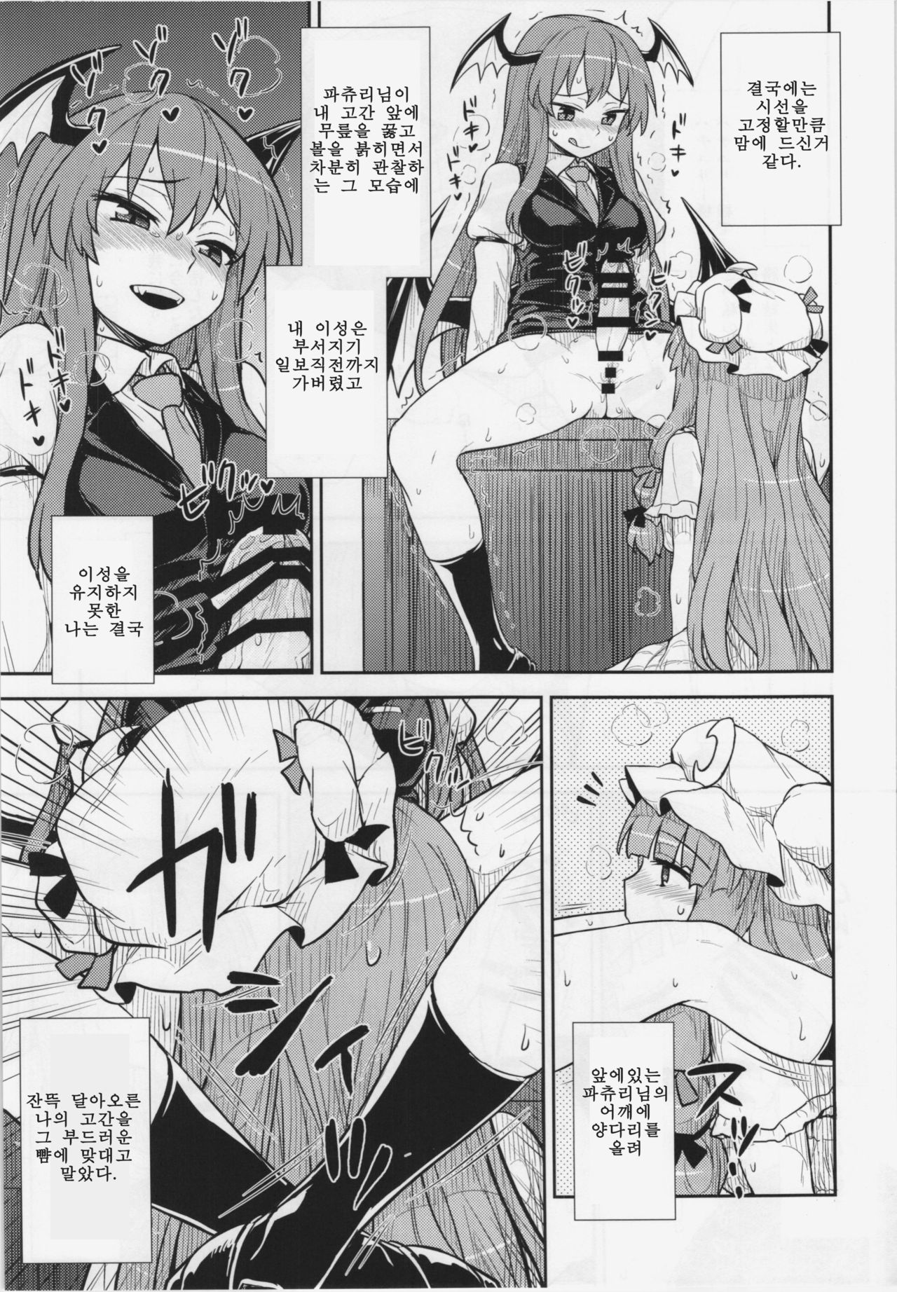 Koakuma no Patchouli Kansatsuki | 소악마의 파츄리 관찰기 page 11 full