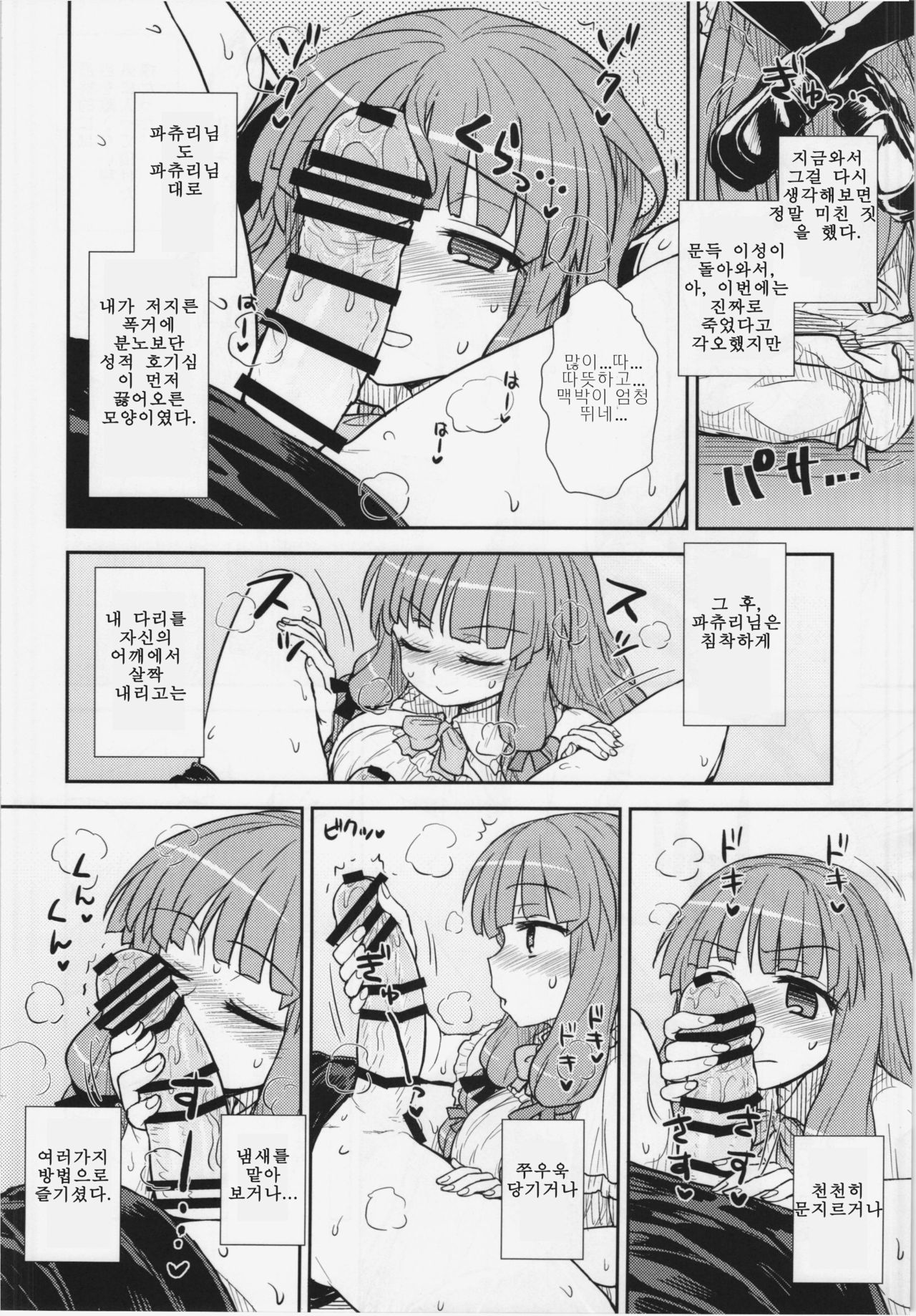 Koakuma no Patchouli Kansatsuki | 소악마의 파츄리 관찰기 page 12 full
