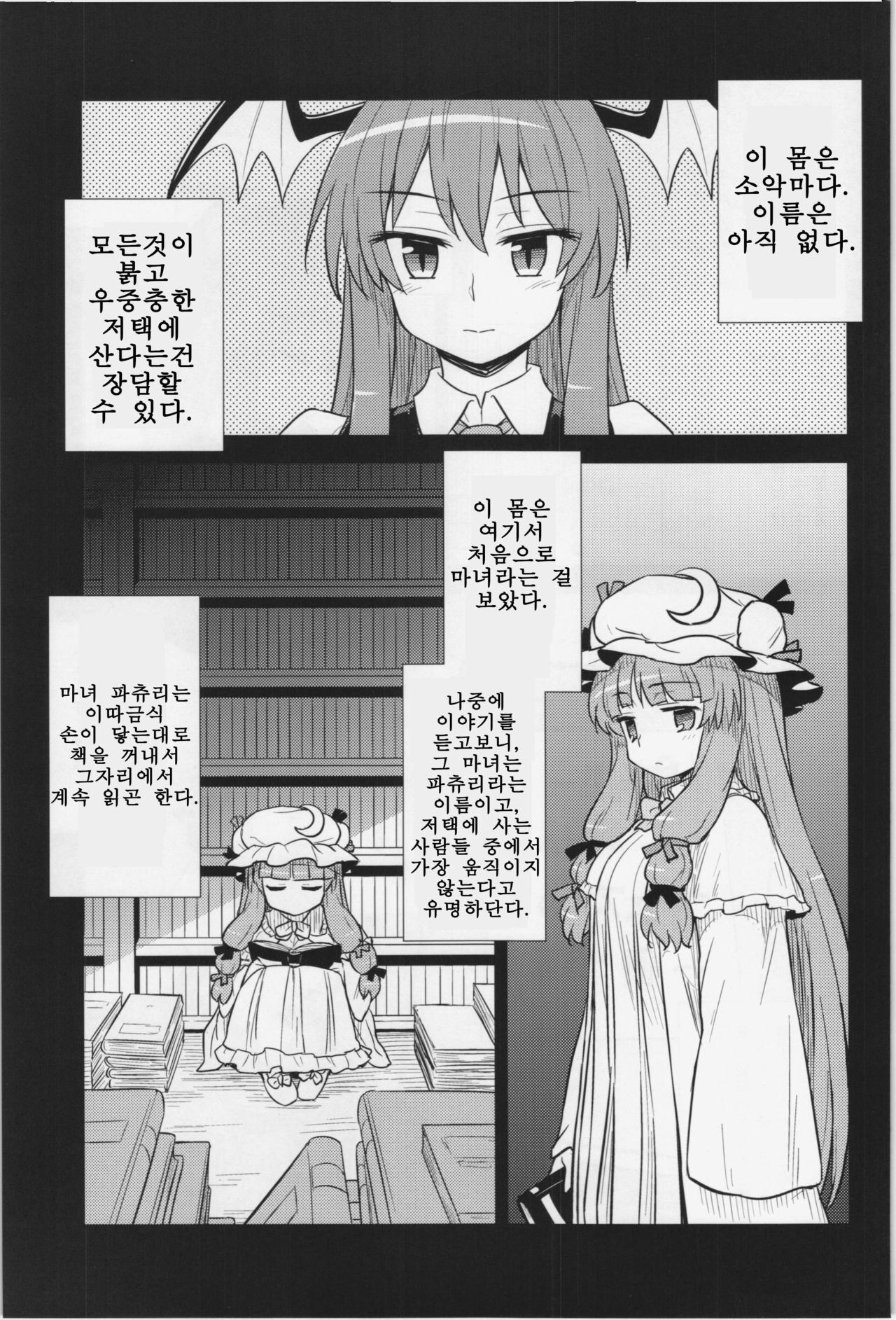 Koakuma no Patchouli Kansatsuki | 소악마의 파츄리 관찰기 page 3 full