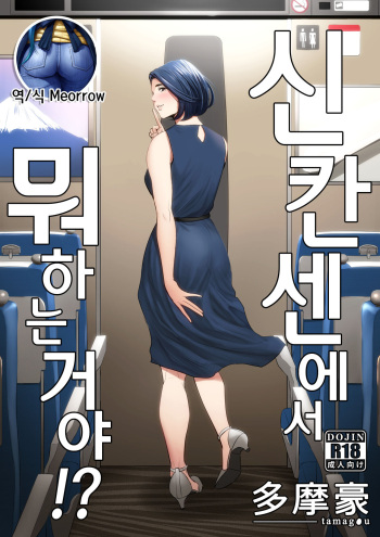 [Tamagou] Shinkansen de Nani Shiteru!? | 신칸센에서 뭐 하는 거야!? [Korean] [Meorrow] cover