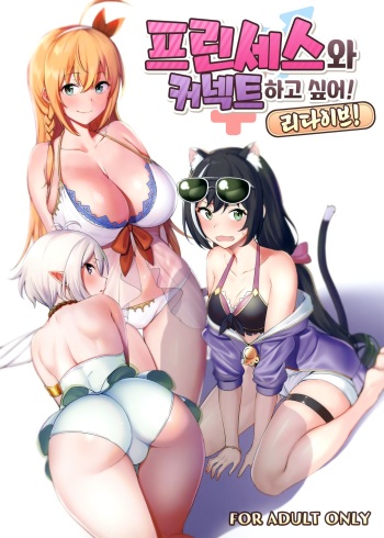 (C97) [Ikihaji Hummingbird (Amano Don)] Princess to Connect Shitai! ReDive! | 프린세스와 커넥트 하고 싶어! 리다이브! (Princess Connect! Re:Dive) [Korean] cover