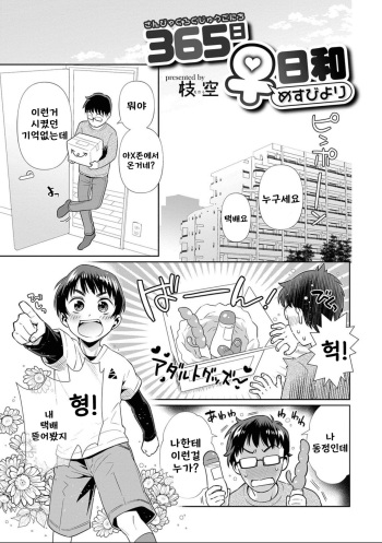 [Edara] 365 nichi Mesu Biyori (Nyotaika! Monogatari 7) [Korean] [Digital] cover