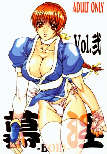 (C58) [Power Slide (Uttorikun)] BOIN NI (Dead or Alive) cover