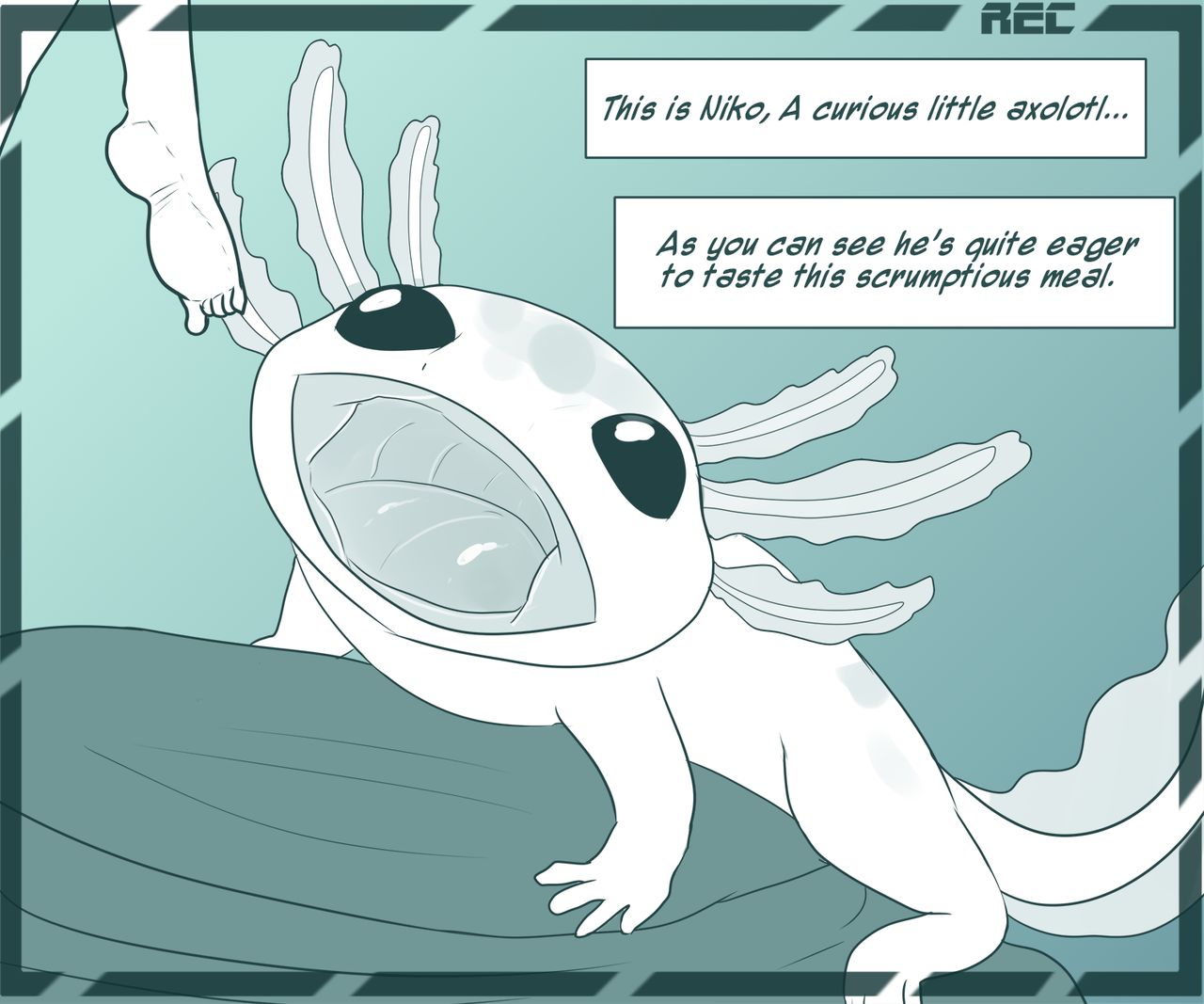 Party snacks page 12 full