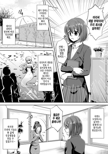 [Shinenkan (Noyuki)] Aru Ningyo no Omoide | 어느 인어의 추억 [Korean] cover