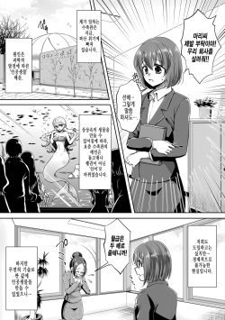 Aru Ningyo no Omoide | 어느 인어의 추억