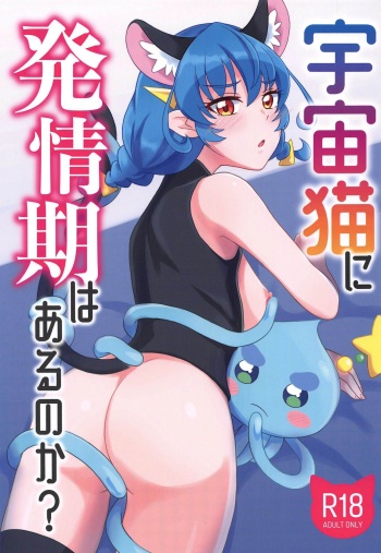 (Rainbow Flavor 22) [minuet (Minu)] Uchuu Neko ni Hatsujouki wa Aru no ka? (Star Twinkle PreCure) cover