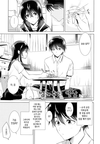(COMITIA129) [DSO (Momoko)] Houkago no Nichijou [Korean] cover