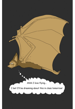 - Manspider 08: Batwinged