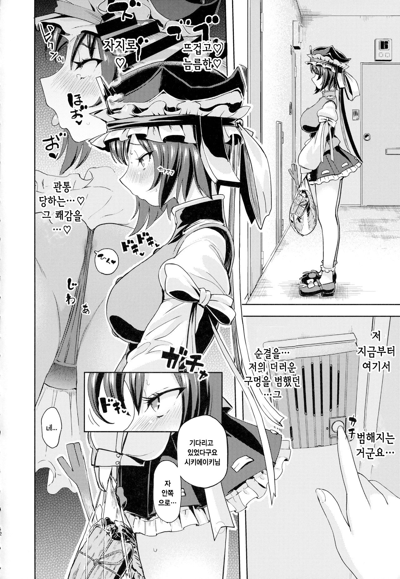 Shikieiki no Inyoku Rakuen | 시키 에이키의 음욕낙원 page 12 full