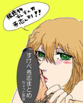 [Chidori] 秀志とちょっと昴哀すけべまとめ (Detective Conan) cover