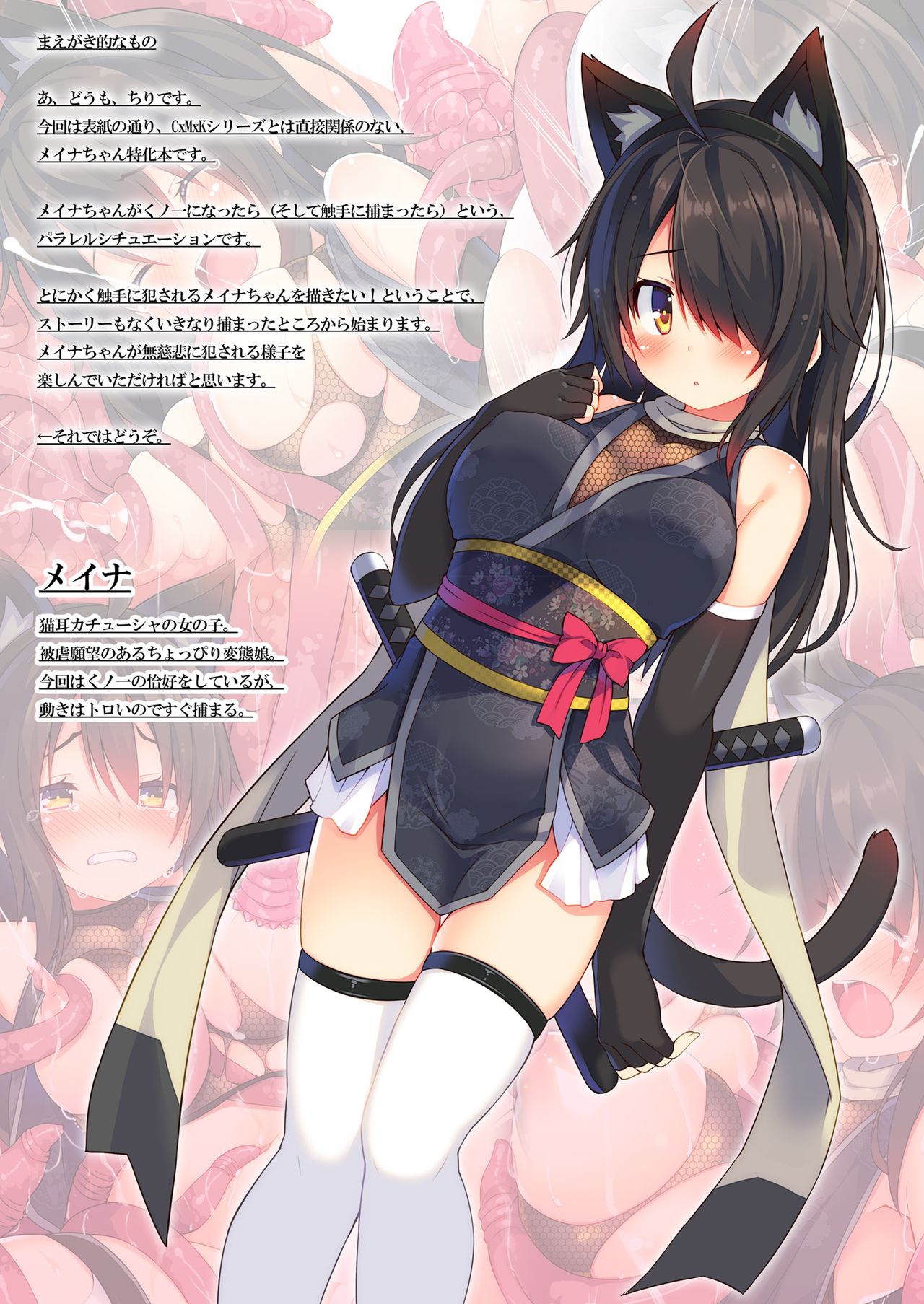 Okasare-kei Shoujo Meina -Shokushu Hen- page 2 full