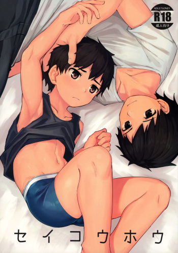 (C97) [Nisankatanso (Nayoshi)] Seikouhou cover