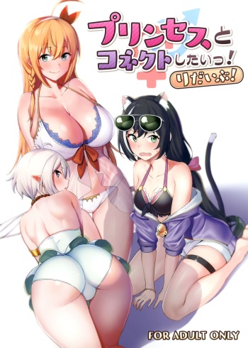 (C97) [Ikihaji Hummingbird (Amano Don)] Princess to Connect Shitai! ReDive! (Princess Connect! Re:Dive) cover