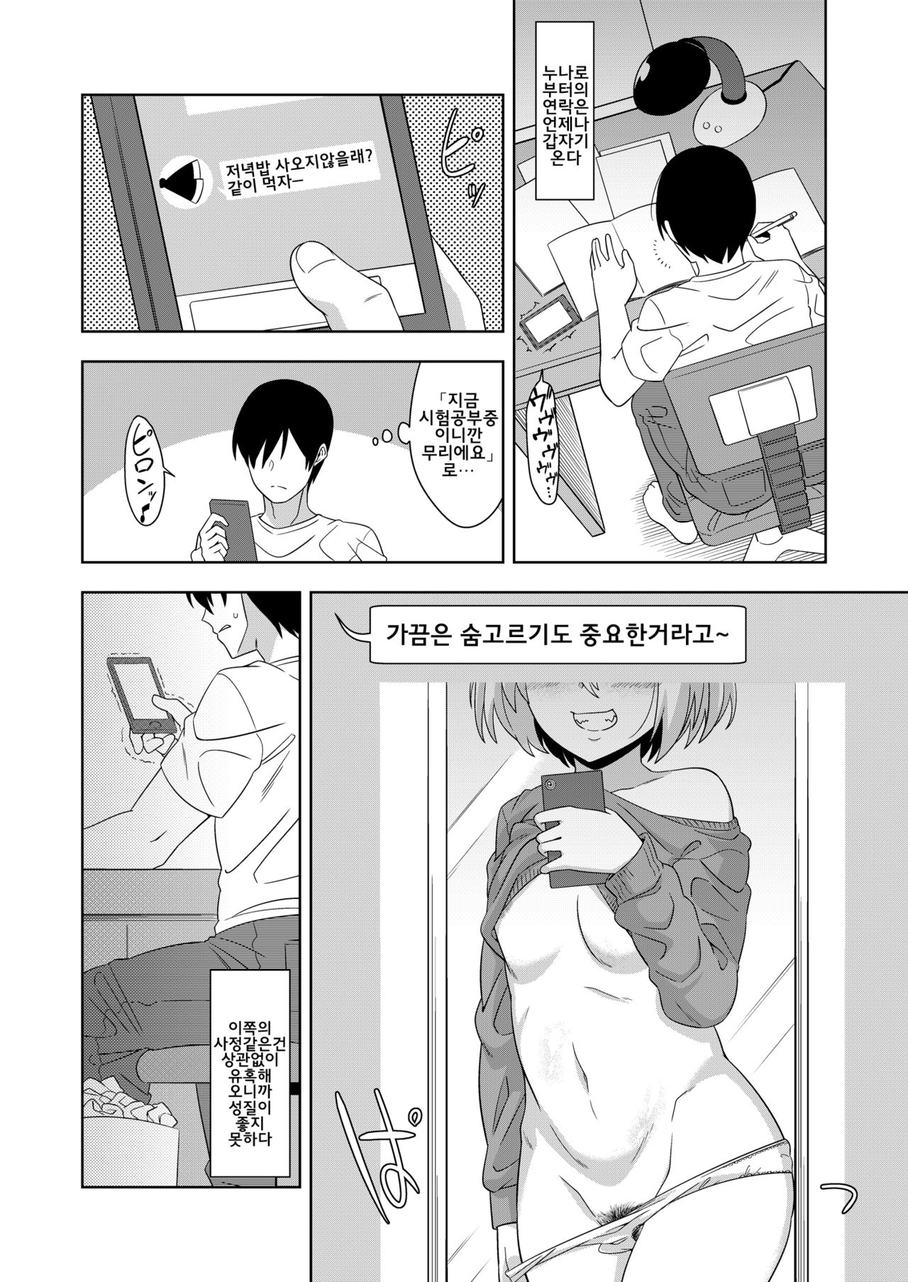 Tonari no Rumia Onee-san | 옆집의 루미아 누나 page 11 full