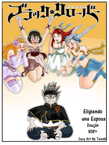 Escogiendo una esposa cover