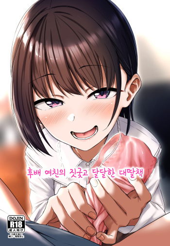 (C97) [Aoi Dennou (Aoi Tiduru)] Kouhai Kanojo no Ijiwaru de Amaama na Tekoki Hon | 후배 여친의 짓궂고 달달한 대딸책 [Korean] cover