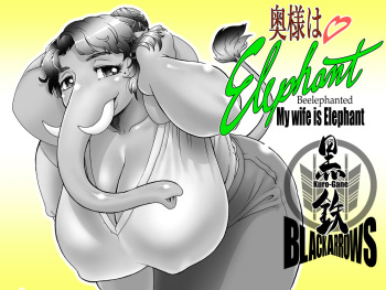 [Black Arrows]  My Wife is Elephant cover