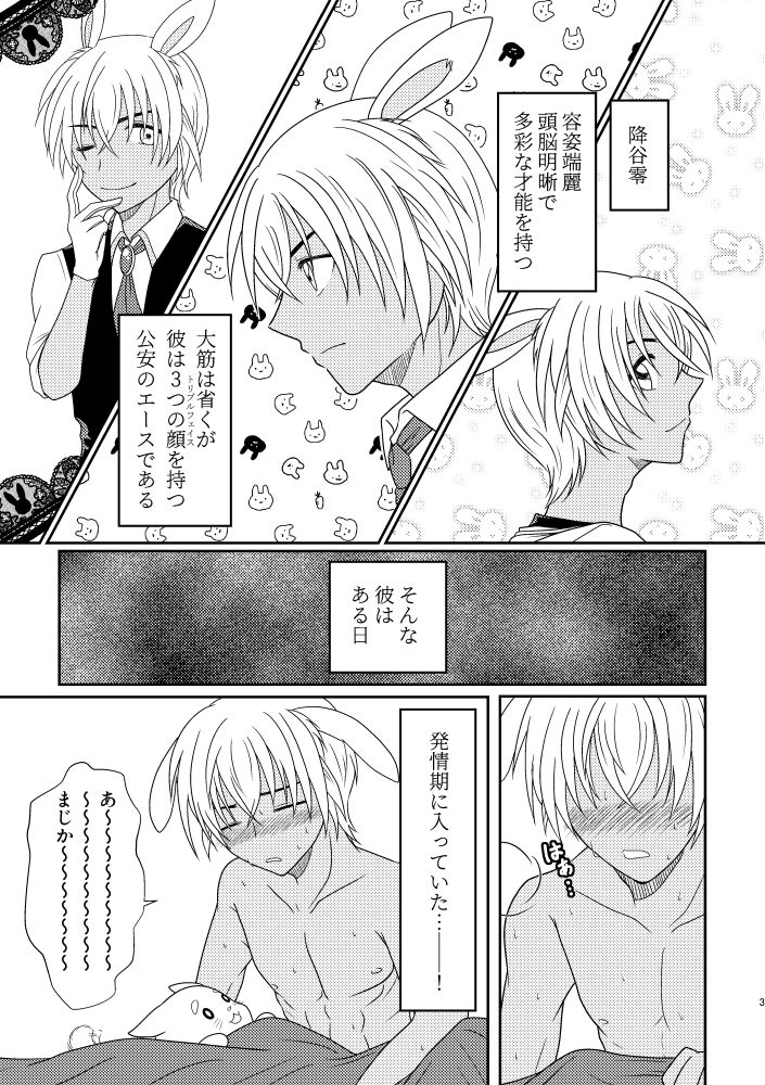 Usa Usa page 2 full