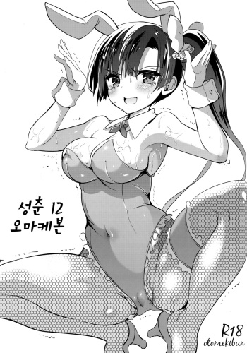 (C89) [Otomekibun (Sansyoku Amido.)] Seishun 12 no Omake-gami | 성춘 12 오마케본 [Korean] cover