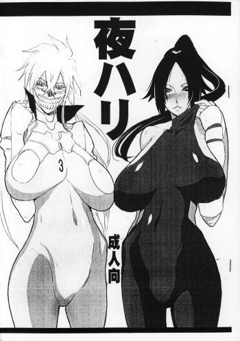 (C75) [VARIABLE? (Yukiguni Eringi)] Yoru Hari (BLEACH) cover