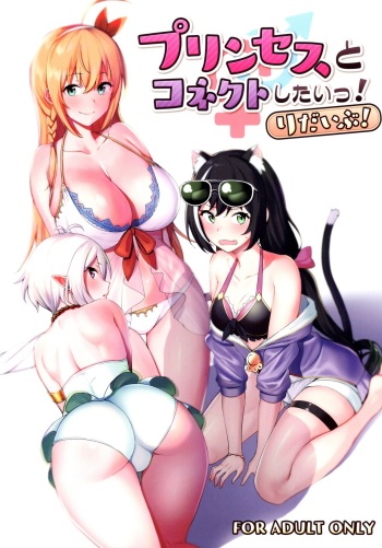 (C97) [Ikihaji Hummingbird (Amano Don)] Princess to Connect Shitai! ReDive! | I want to connect with a princess! ReDive! (Princess Connect! Re:Dive) [English] [Douzo Lad Translations] cover