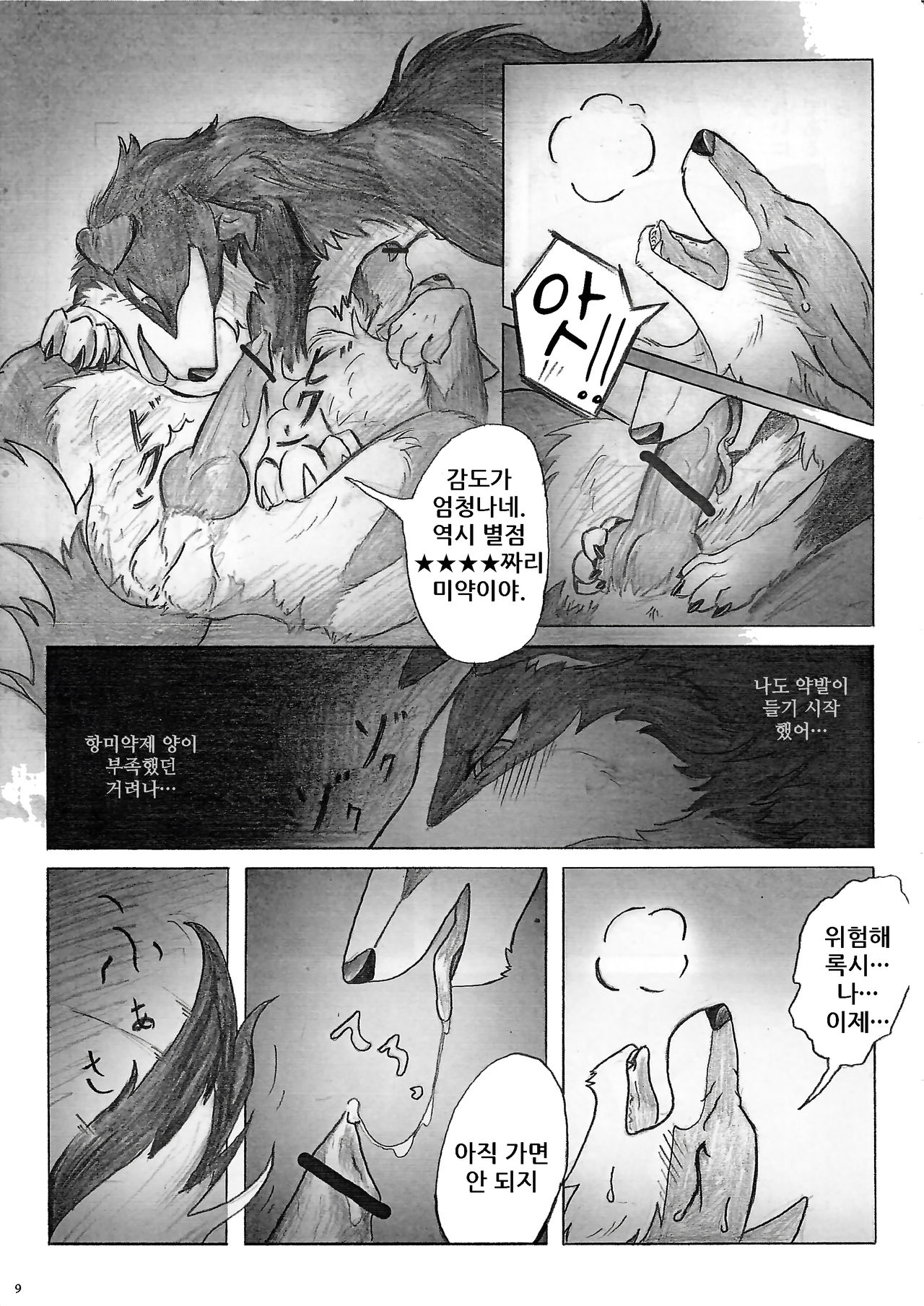KTQ 15/2 page 11 full