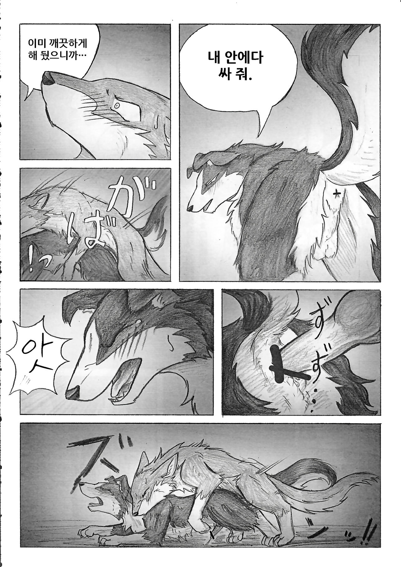 KTQ 15/2 page 12 full