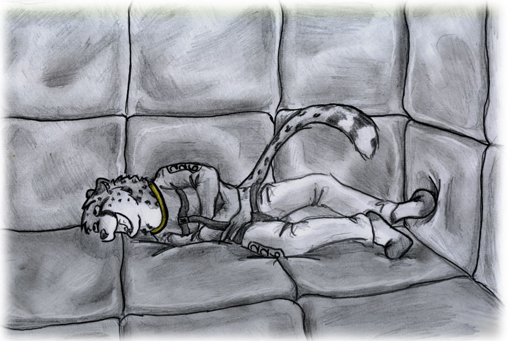 artist - DOMBRUS page 5 full