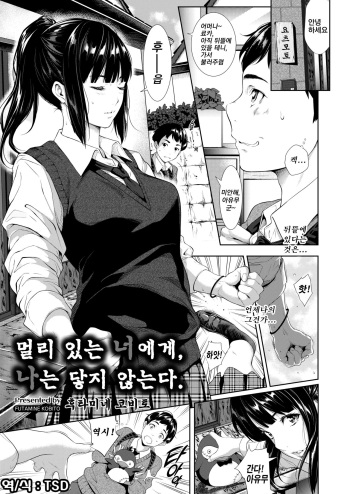[Futamine Kobito] Tooi Kimi ni, Boku wa Todokanai | 멀리 있는 너에게, 나는 닿지 않는다. (COMIC AOHA 2019 Fuyu) [Korean] [TSD] [Digital] cover
