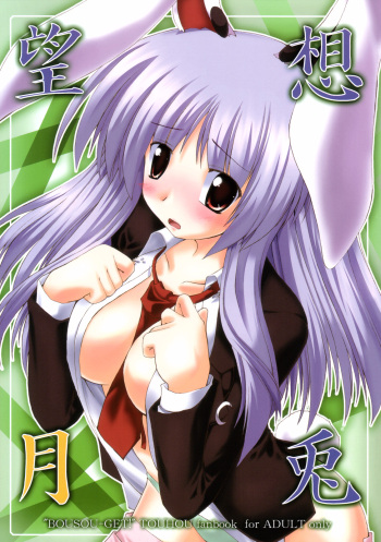 (SC33) [Yuugen Jikkou (Gonzaburo-)] BOUSOU-GET! (Touhou Project) cover