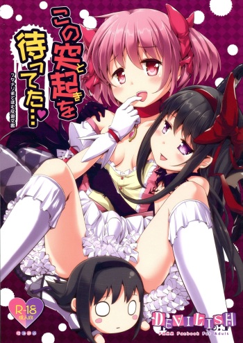 (C97) [Okami Kaikou (Tyauke)] Kono tokki o matteta... (Puella Magi Madoka Magica) cover