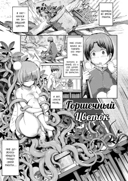 Hachi no Ue no Flower | Горшечный цветок