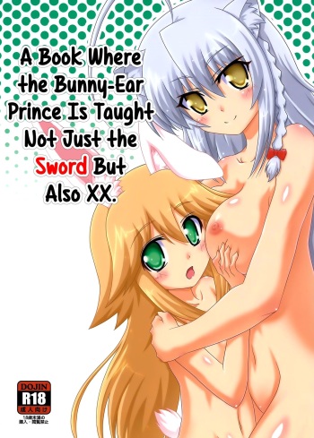 (Nanoha DAYS 4) [Serenta (BOM)] Usamimi Ouji ni Ken dake de Naku xx made Oshiechau Hon. | A Book Where the Bunny-Ear Prince Is Taught Not Just the Sword But Also XX. (DOG DAYS) [English] [EHCOVE] cover