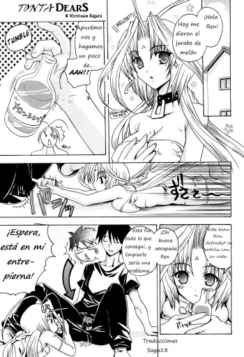 (C66) [Kacchuu Musume (Victoreem Kagura)] Suttoko Dears | Tonta Dears (Kabushikigaisha Liver-Sashi) (DearS) [Spanish] [Saga13] cover
