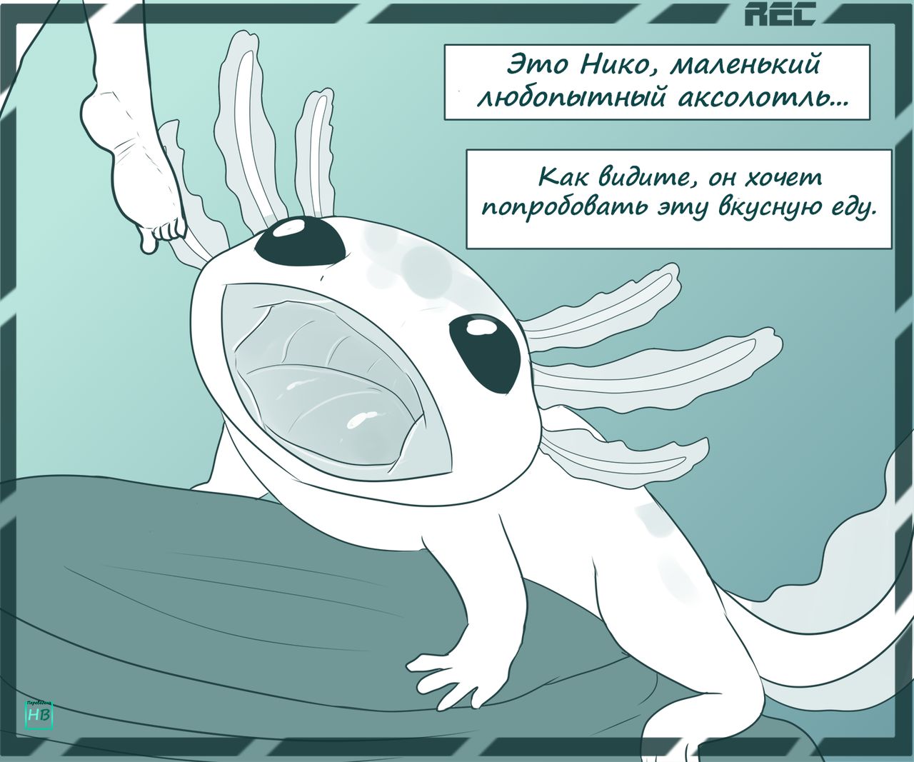 Party Snacks page 12 full