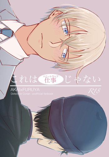 (Chou Himitsu no Ura Kagyou 2019) [Tori Sankaku (Piyodo)] Kore wa Shigoto Janai (Meitantei Conan) cover