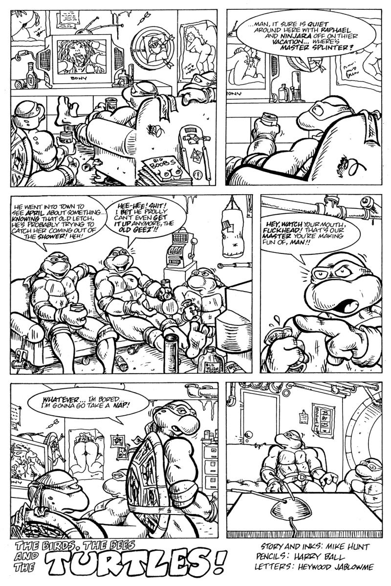 Teenage Mutant Ninja Turtles hentai comic page 2 full